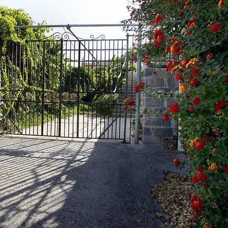 Villa Con Piscina Vista Mare Santo Stefano  외부 사진